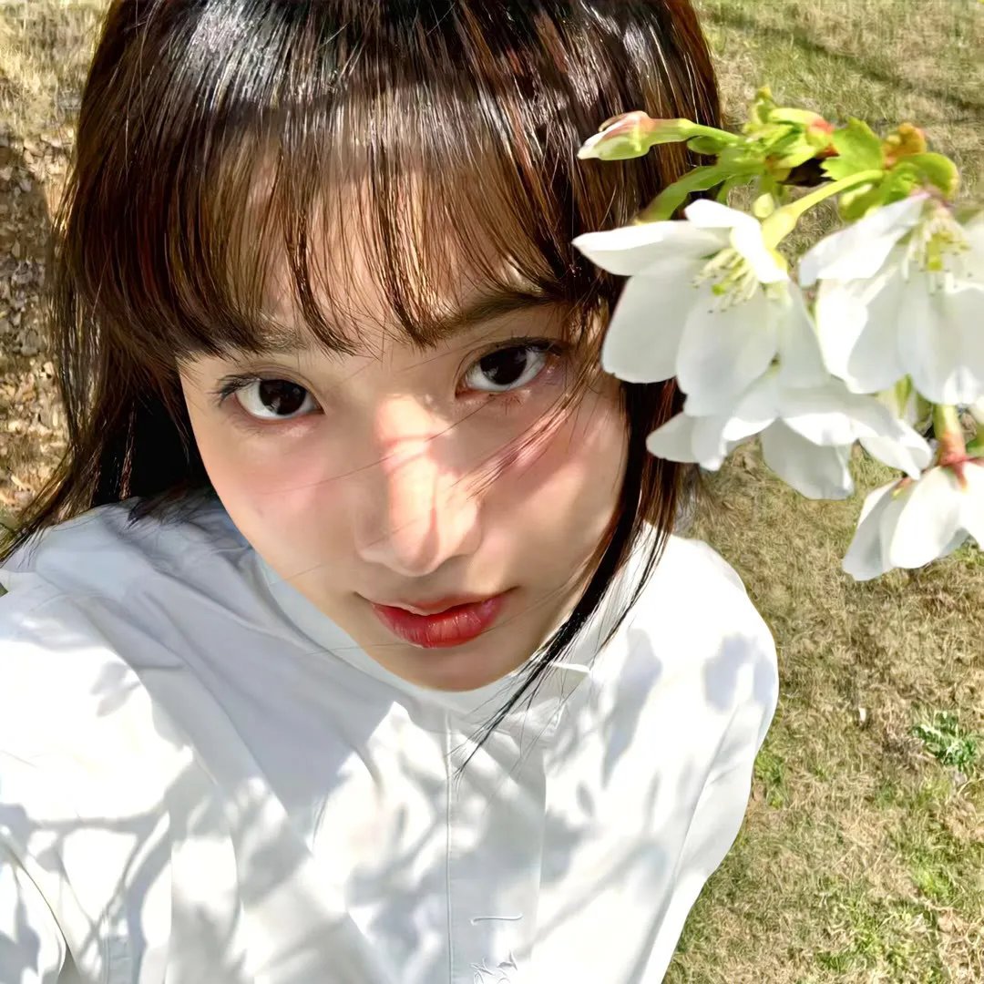 鲨鱼：风暴